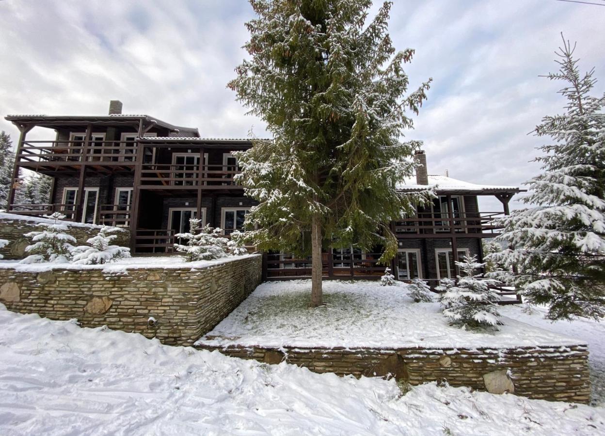 Парк-Готель Щастя Skhidnytsia Exterior foto